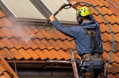 Démoussage et hydrofuge de toiture à Laumesfeld